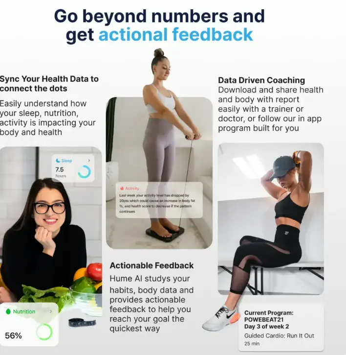Hume Body Pod – Übersicht zu Messwerten und Kennzahlen